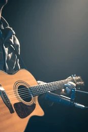 Acoustic Player (6)