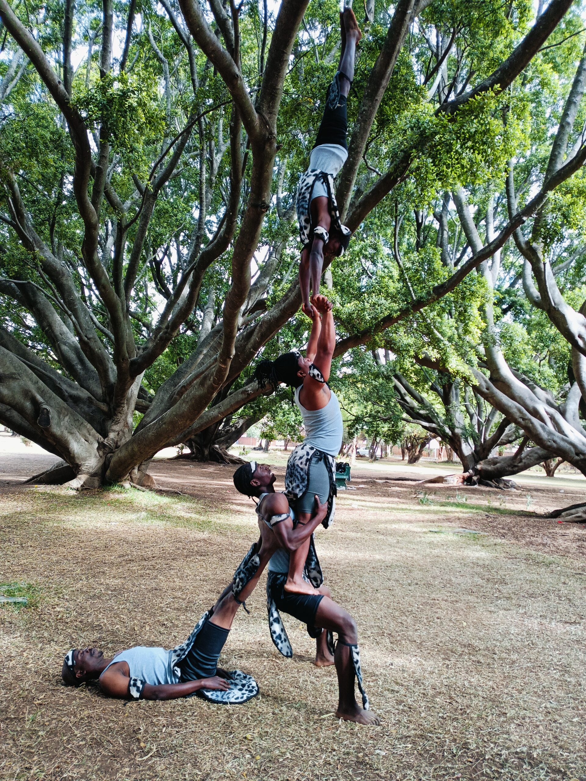 Acrobatics (10)