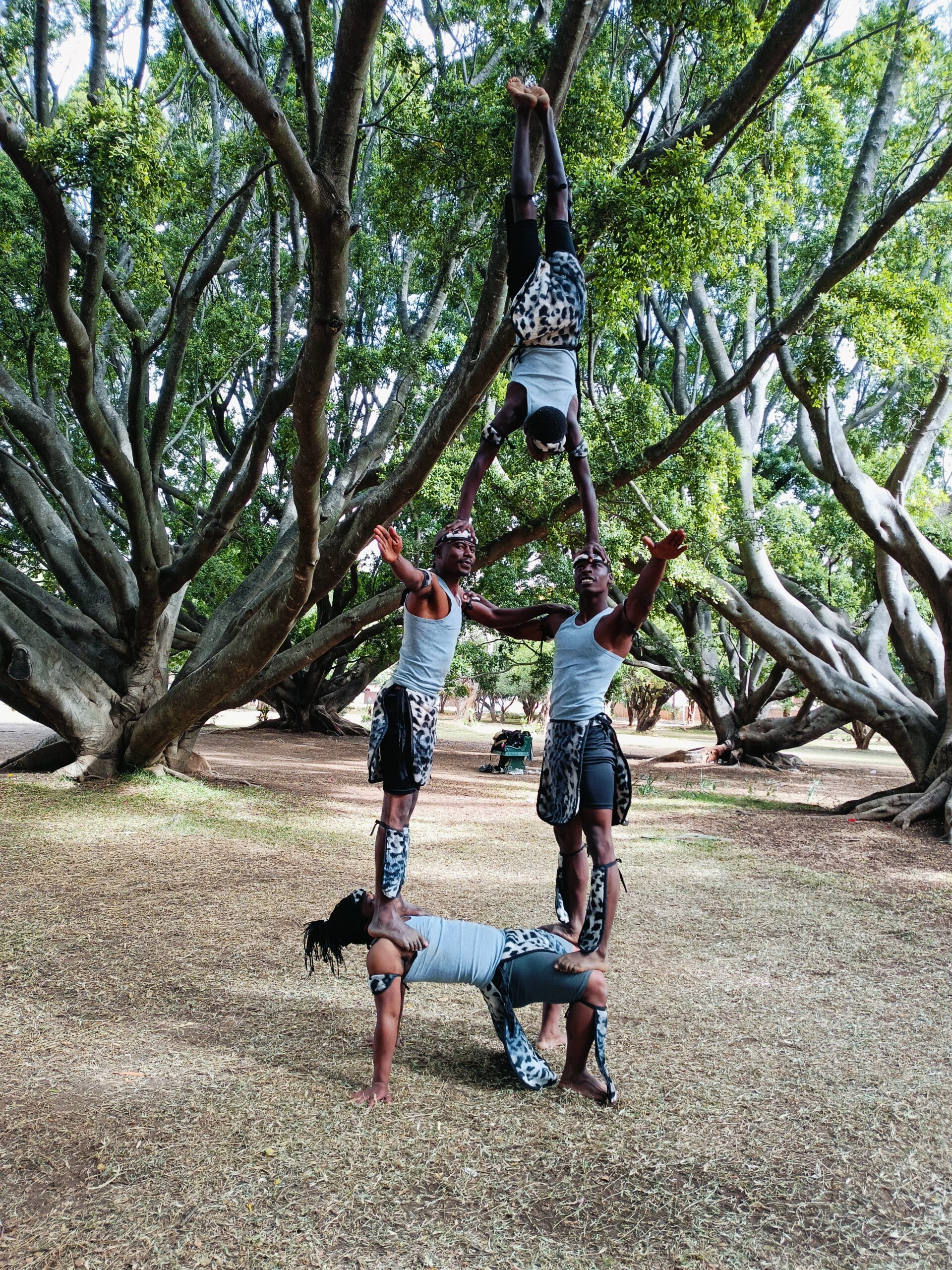 Acrobatics (11)