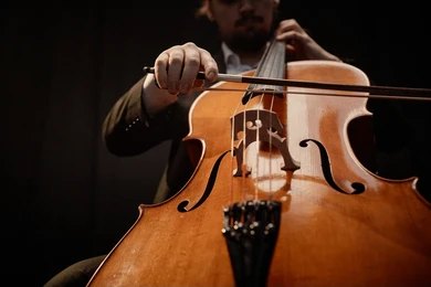 Cellist (11)