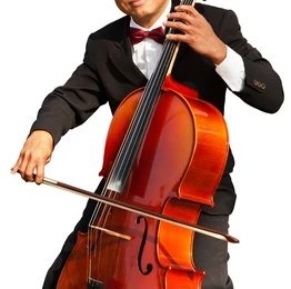 Cellist (2)