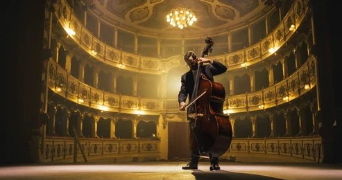 Cellist (8)