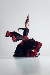 Flamenco Dancers (10)