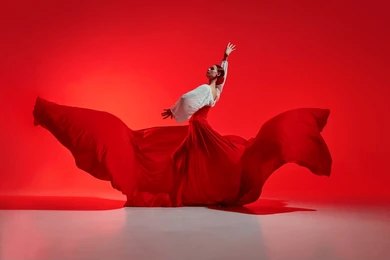 Flamenco Dancers (7)