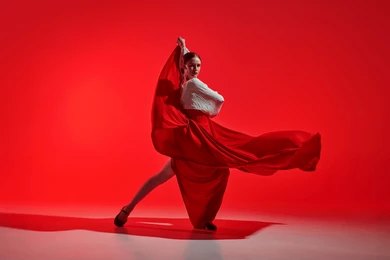 Flamenco Dancers (8)