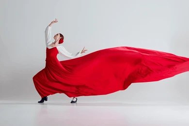 Flamenco Dancers (9)