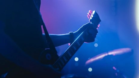 Guitarist (6)