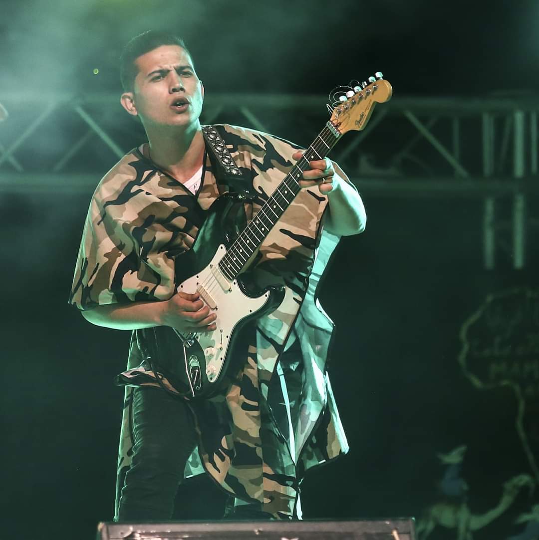 Guitarist (9)
