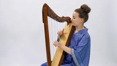 Harp Artist (1)