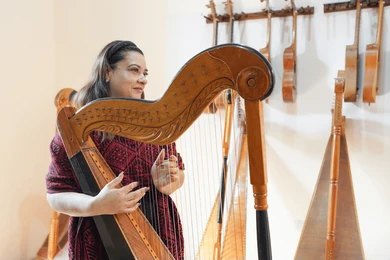 Harp Artist (10)