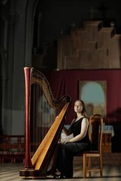 Harp Artist (11)