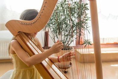 Harp Artist (2)