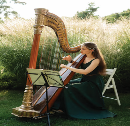 Harp Artist (2)