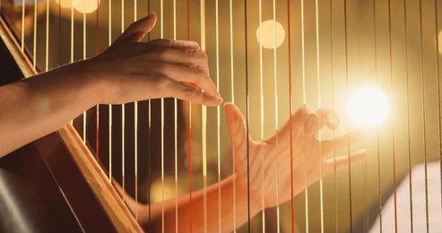 Harp Artist (3)