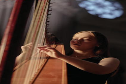 Harp Artist (3)