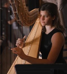 Harp Artist (4)