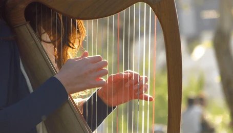 Harp Artist (5)