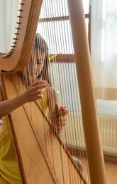 Harp Artist (6)
