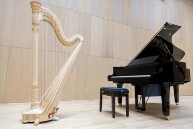 Harp Artist (7)