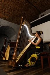 Harp Artist (8)