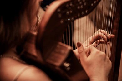 Harp Artist (9)
