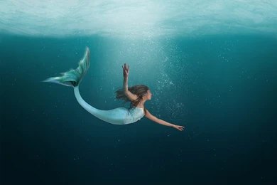 Mermaid Artists (3)