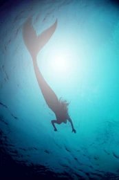 Mermaid Artists (5)
