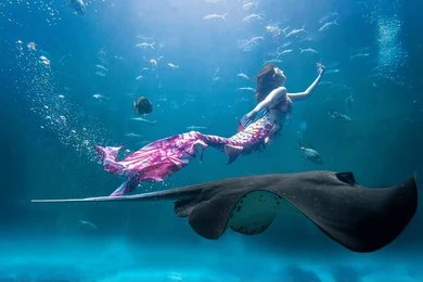 Mermaid Artists (6)