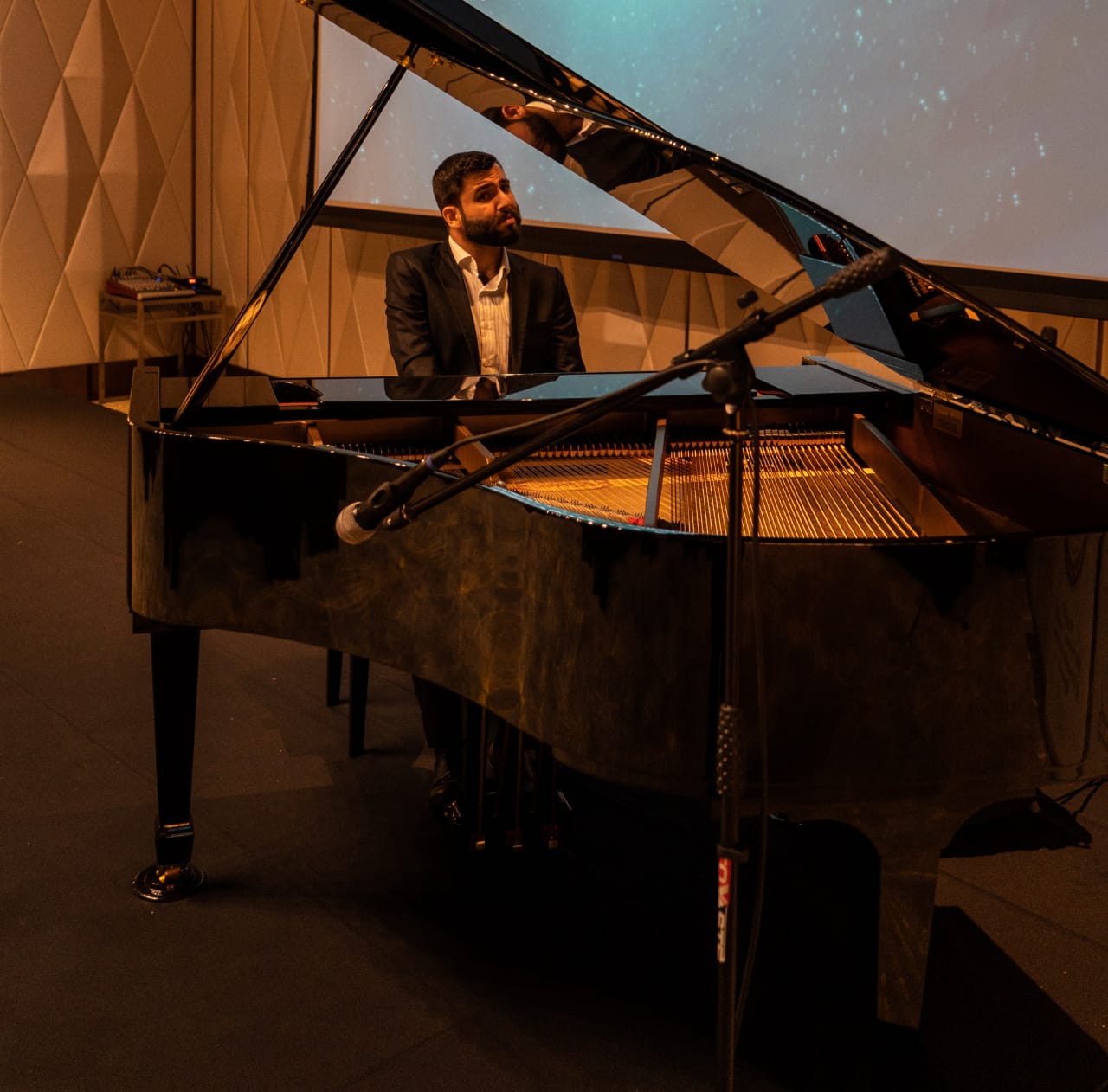 Pianist (1)
