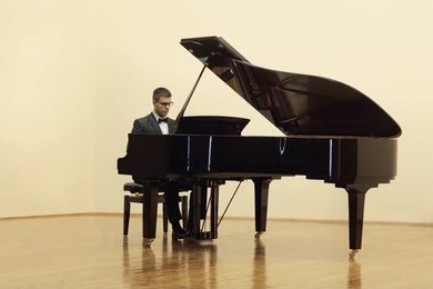Pianist (1)