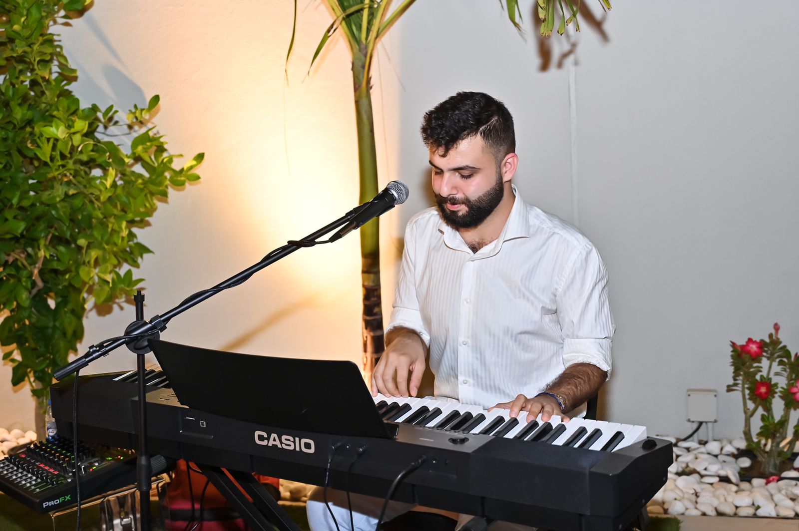 Pianist (3)