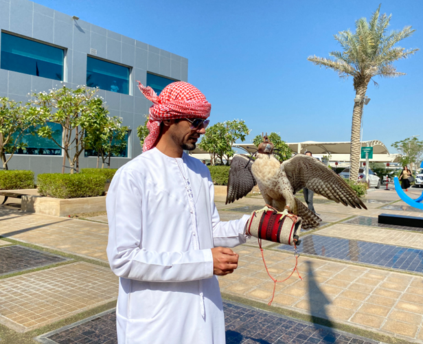 UAE Traditional Dancers (5)