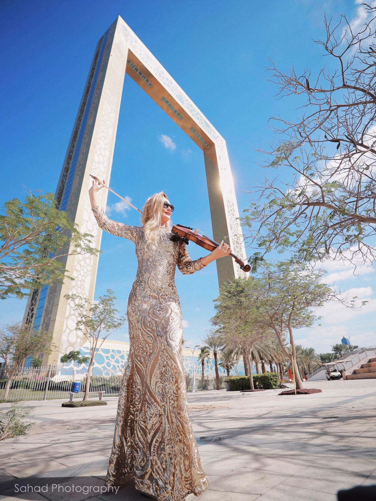 Violinist (4)